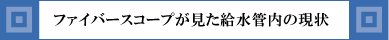 ファイバースコープが見た給水管内の現状